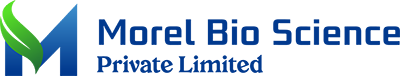 Morel Bio Science Private Limited